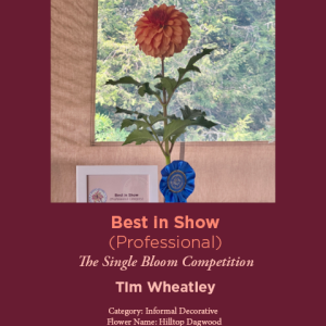 Best in Show Professional Tim Wheatley